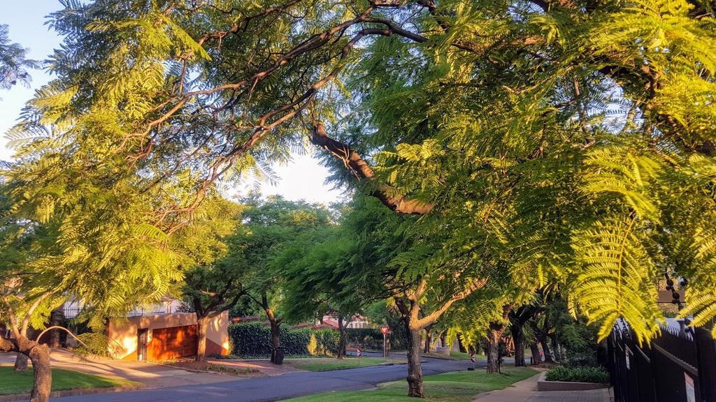 800@Merton Pretoria-Noord Extérieur photo
